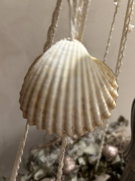 Deko_Muschel_Limão_DECOCASA